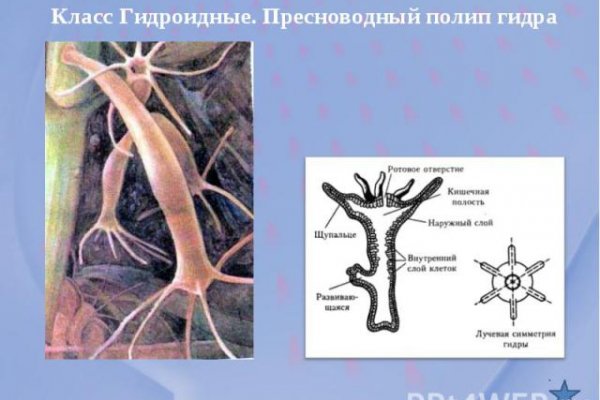 Украли аккаунт на кракене даркнет